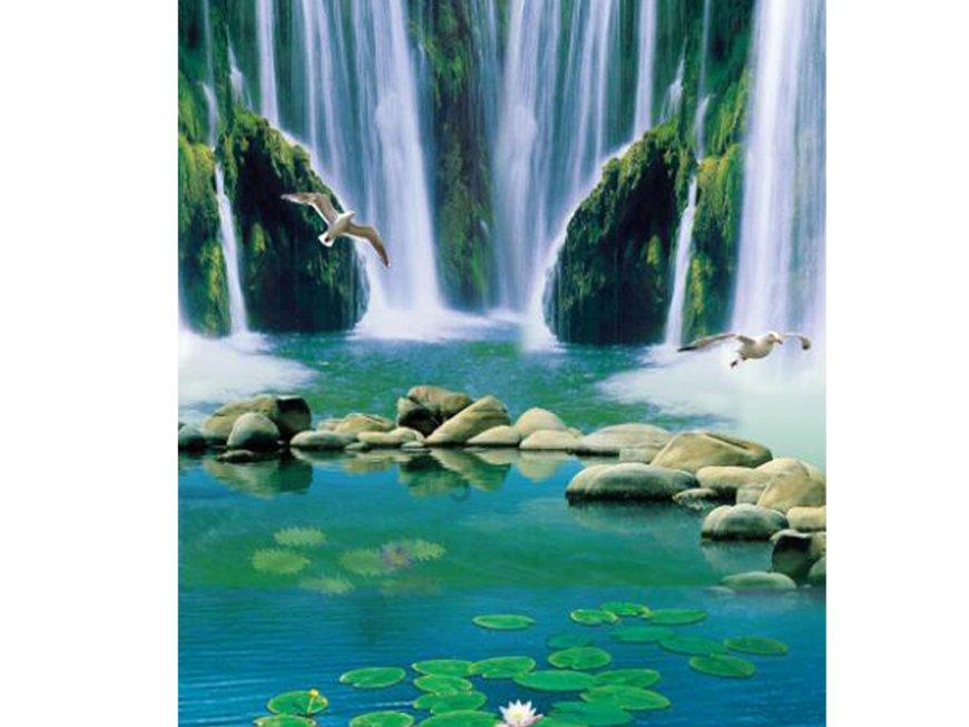 小红帽的冒险之旅